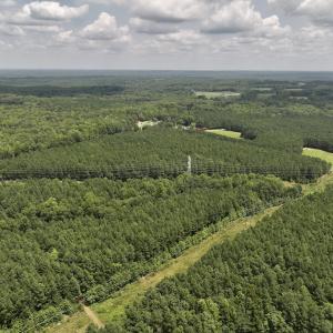 Photo #27 of SOLD property in 02 Todd Road, Roxboro, NC 35.4 acres