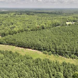 Photo #28 of SOLD property in 02 Todd Road, Roxboro, NC 35.4 acres