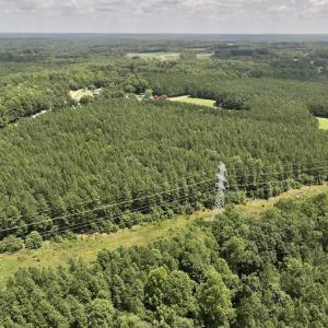 Photo #29 of SOLD property in 02 Todd Road, Roxboro, NC 35.4 acres