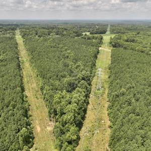 Photo #30 of SOLD property in 02 Todd Road, Roxboro, NC 35.4 acres