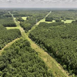 Photo #32 of SOLD property in 02 Todd Road, Roxboro, NC 35.4 acres