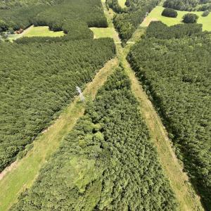 Photo #33 of SOLD property in 02 Todd Road, Roxboro, NC 35.4 acres