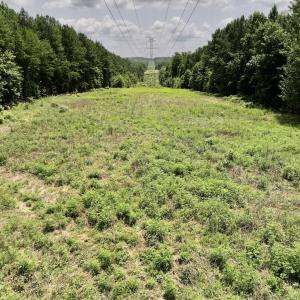 Photo #34 of SOLD property in 02 Todd Road, Roxboro, NC 35.4 acres