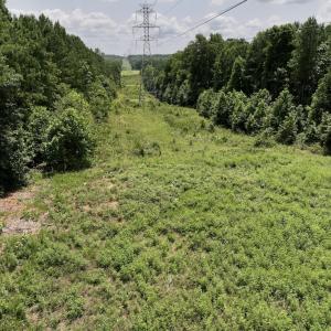 Photo #35 of SOLD property in 02 Todd Road, Roxboro, NC 35.4 acres