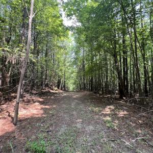 Photo #12 of SOLD property in 02 Todd Road, Roxboro, NC 35.4 acres