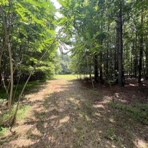Photo #13 of SOLD property in 02 Todd Road, Roxboro, NC 35.4 acres