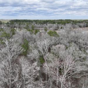 Photo #4 of Off Jolly Ole Field Rd, Grifton, NC 5.4 acres