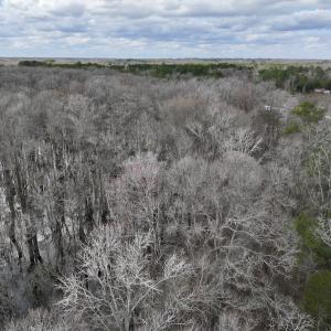 Photo #5 of Off Jolly Ole Field Rd, Grifton, NC 5.4 acres