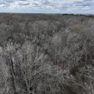 Photo #6 of Off Jolly Ole Field Rd, Grifton, NC 5.4 acres