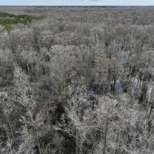 Photo #8 of Off Jolly Ole Field Rd, Grifton, NC 5.4 acres