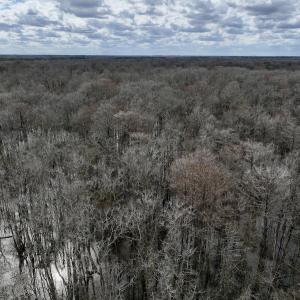 Photo #9 of Off Jolly Ole Field Rd, Grifton, NC 5.4 acres