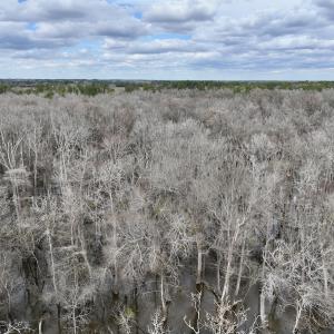 Photo #11 of Off Jolly Ole Field Rd, Grifton, NC 5.4 acres