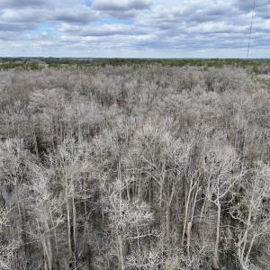 Photo #12 of Off Jolly Ole Field Rd, Grifton, NC 5.4 acres
