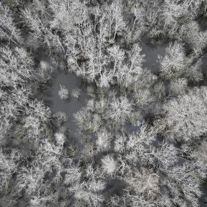 Photo #13 of Off Jolly Ole Field Rd, Grifton, NC 5.4 acres