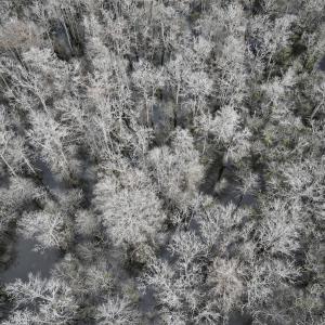 Photo #14 of Off Jolly Ole Field Rd, Grifton, NC 5.4 acres