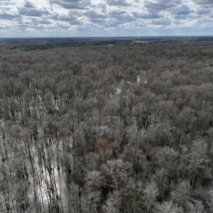Photo #15 of Off Jolly Ole Field Rd, Grifton, NC 5.4 acres