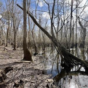 Photo #19 of Off Jolly Ole Field Rd, Grifton, NC 5.4 acres