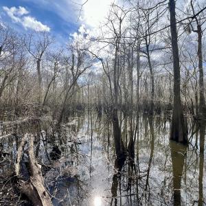 Photo #21 of Off Jolly Ole Field Rd, Grifton, NC 5.4 acres