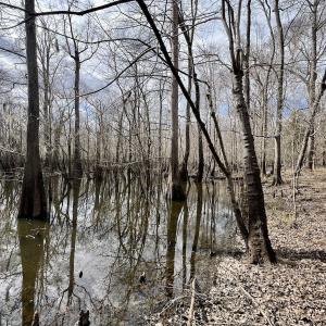 Photo #22 of Off Jolly Ole Field Rd, Grifton, NC 5.4 acres