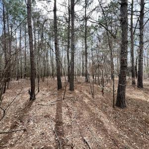 Photo #23 of Off Jolly Ole Field Rd, Grifton, NC 5.4 acres