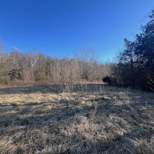 Photo #11 of Off of White House Road, Moneta, VA 17.2 acres