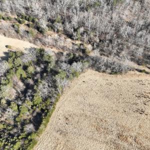 Photo #3 of Off of White House Road, Moneta, VA 17.2 acres
