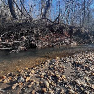 Photo #4 of Off of White House Road, Moneta, VA 17.2 acres