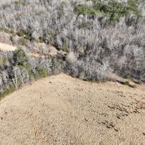 Photo #5 of Off of White House Road, Moneta, VA 17.2 acres