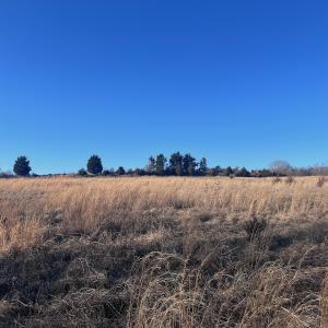 Photo #8 of Off of White House Road, Moneta, VA 17.2 acres