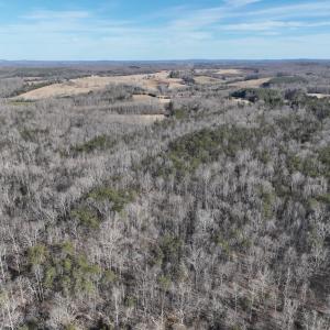 Photo #23 of Off of White House Road, Moneta, VA 17.2 acres