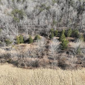 Photo #25 of Off of White House Road, Moneta, VA 17.2 acres