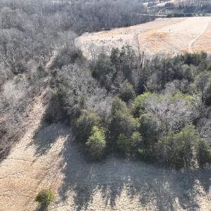 Photo #26 of Off of White House Road, Moneta, VA 17.2 acres