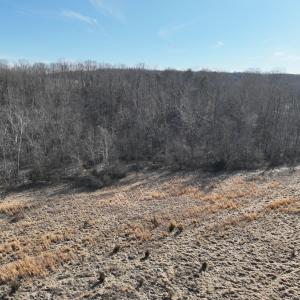 Photo #35 of Off of White House Road, Moneta, VA 17.2 acres
