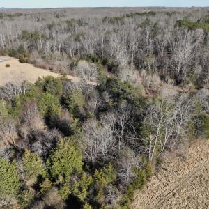 Photo #36 of Off of White House Road, Moneta, VA 17.2 acres