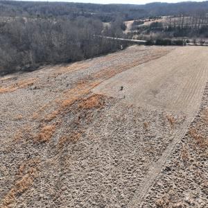 Photo #38 of Off of White House Road, Moneta, VA 17.2 acres