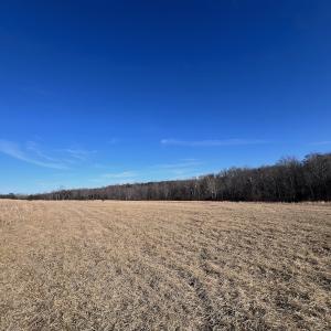 Photo #39 of Off of White House Road, Moneta, VA 17.2 acres