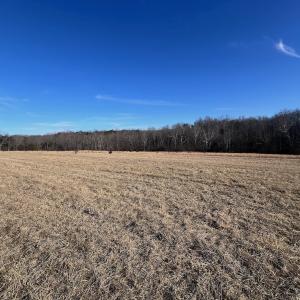 Photo #40 of Off of White House Road, Moneta, VA 17.2 acres