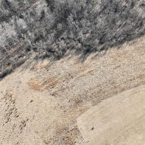 Photo #16 of Off of White House Road, Moneta, VA 17.2 acres