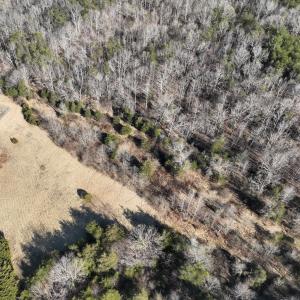 Photo #18 of Off of White House Road, Moneta, VA 17.2 acres