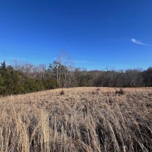 Photo #41 of Off of White House Road, Moneta, VA 17.2 acres