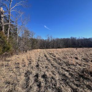 Photo #42 of Off of White House Road, Moneta, VA 17.2 acres
