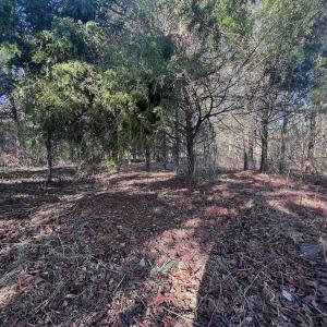 Photo #43 of Off of White House Road, Moneta, VA 17.2 acres