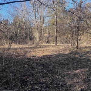 Photo #44 of Off of White House Road, Moneta, VA 17.2 acres