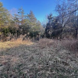Photo #45 of Off of White House Road, Moneta, VA 17.2 acres