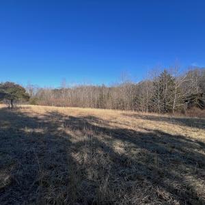 Photo #46 of Off of White House Road, Moneta, VA 17.2 acres