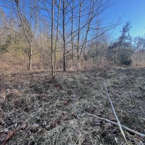 Photo #47 of Off of White House Road, Moneta, VA 17.2 acres