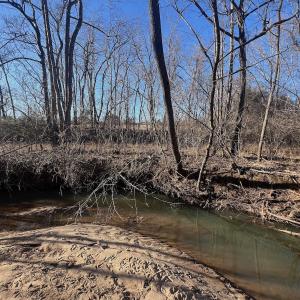 Photo #48 of Off of White House Road, Moneta, VA 17.2 acres