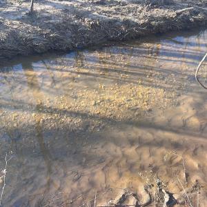 Photo #49 of Off of White House Road, Moneta, VA 17.2 acres