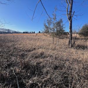 Photo #50 of Off of White House Road, Moneta, VA 17.2 acres