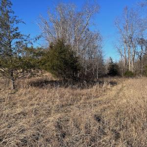 Photo #51 of Off of White House Road, Moneta, VA 17.2 acres